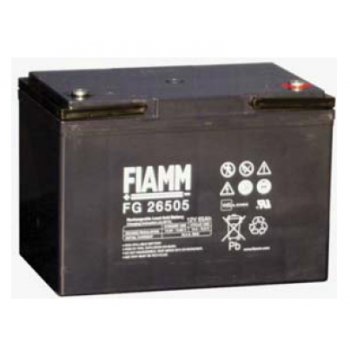 Fiamm FG26505 (12V/65,0Ah - M5)