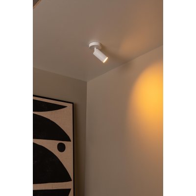 09939/01/31 - obrázek