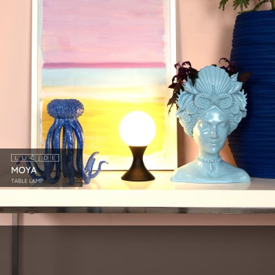 25516/01/30 - obrázek