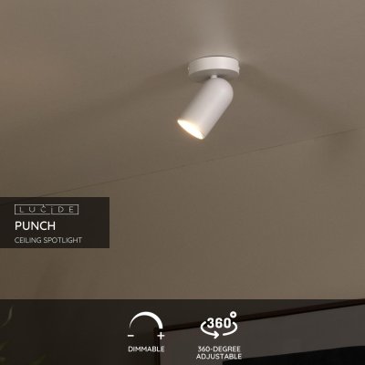 13958/01/31 - obrázek