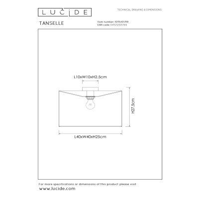 10115/01/99 - obrázek