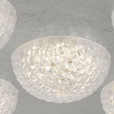 32511-5SI Celestia (5.C) - obrázek