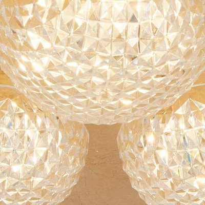 32511-3GO Celestia (5.C) - obrázek