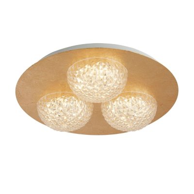 32511-3GO Celestia (5.C) - obrázek