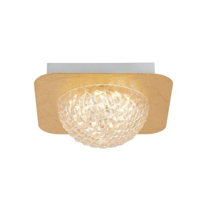 32511-1GO Celestia (5.C) - obrázek