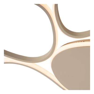 78102/72/41 - obrázek