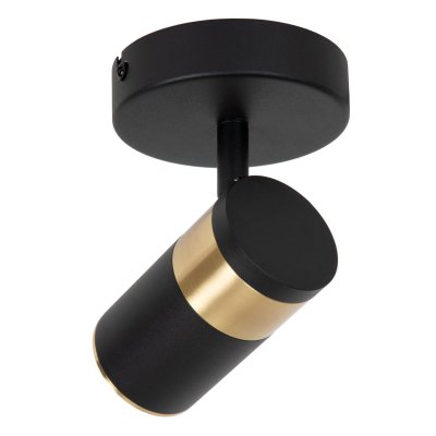 53909/01/30 - obrázek