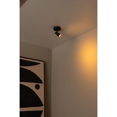 53901/01/30 - obrázek