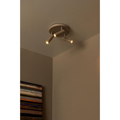 22974/13/41 - obrázek