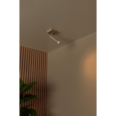 22974/01/41 - obrázek