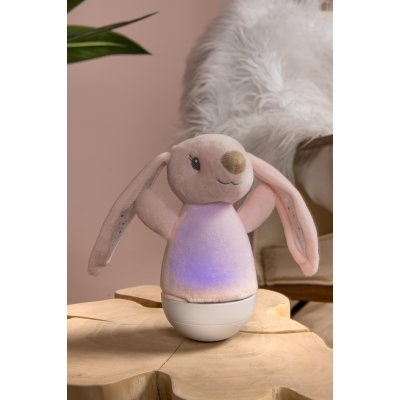 77500/01/66 - obrázek