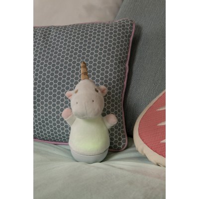 77500/01/31 - obrázek