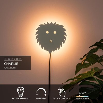 44204/08/38 - obrázek