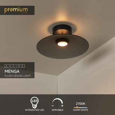 25117/10/65 - obrázek