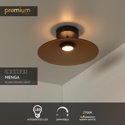 25117/10/62 - obrázek