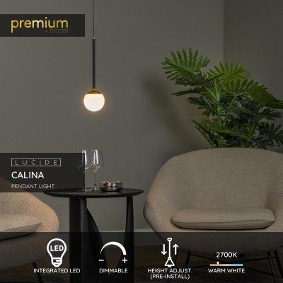 24404/07/30 - obrázek