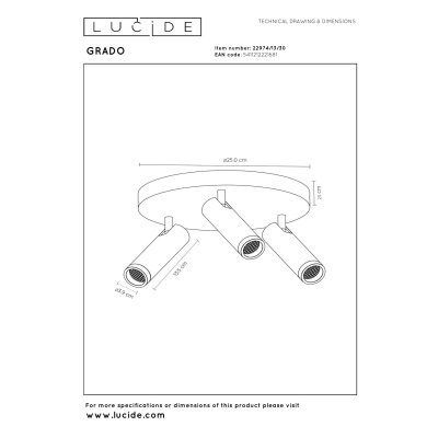 22974/13/30 - obrázek