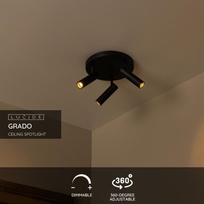 22974/13/30 - obrázek