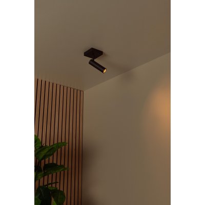 22974/01/30 - obrázek