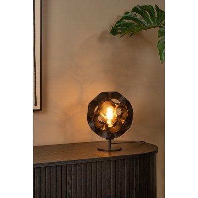 10523/01/30 - obrázek