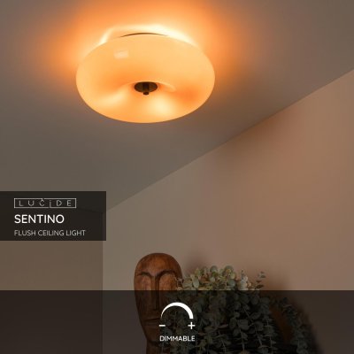 10125/30/53 - obrázek