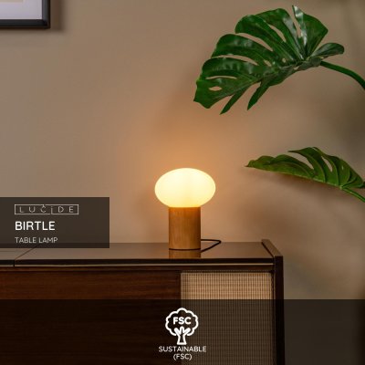 05550/20/61 - obrázek