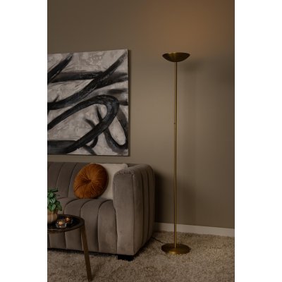 19791/20/02 - obrázek