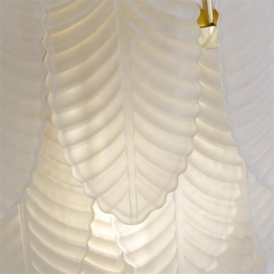 48910-1SB Feather (5.C) - obrázek