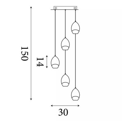 11141-5LT Seeds  (5.C) - obrázek