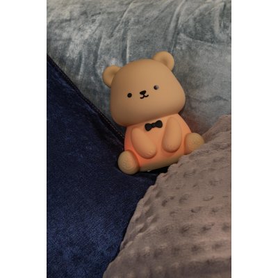 54500/01/43 - obrázek