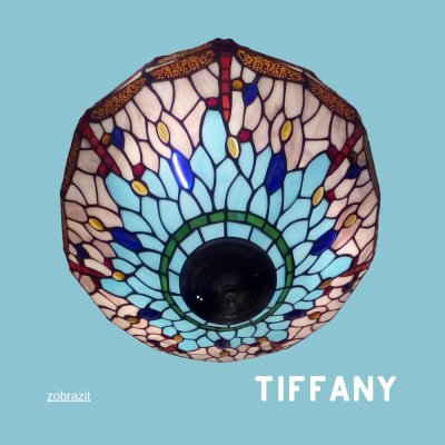 1289-16 DRAGON FLY - obrázek