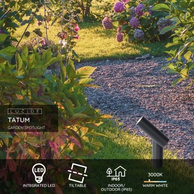 27894/05/29 - obrázek