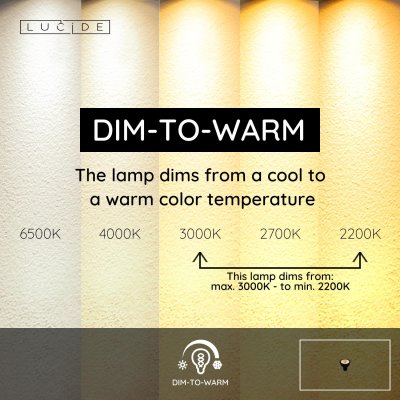 49009/05/30 - obrázek