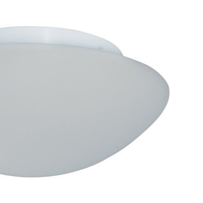 1910-23 Flush - obrázek