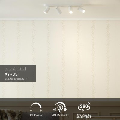 23954/21/31 - obrázek