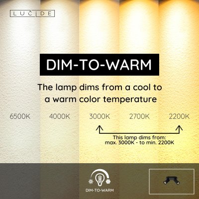 23954/11/30 - obrázek