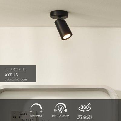 23954/06/30 - obrázek