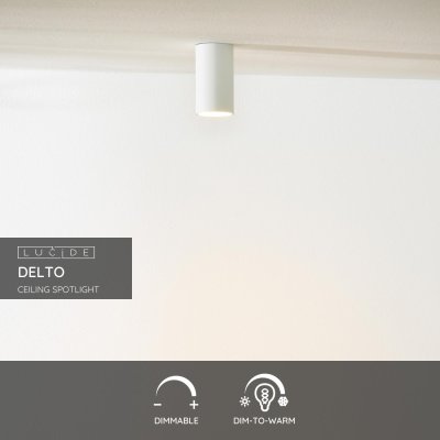 09915/06/31 - obrázek