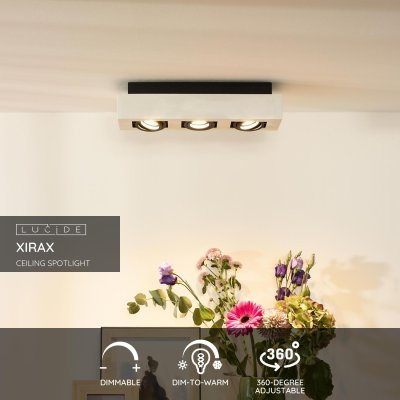 09119/16/31 - obrázek