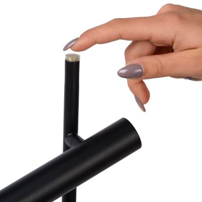 79781/05/30 - obrázek