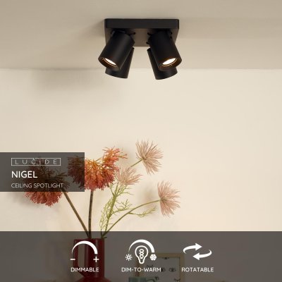 09929/20/30 - obrázek