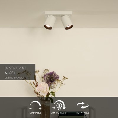 09929/10/31 - obrázek