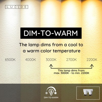 09929/10/31 - obrázek