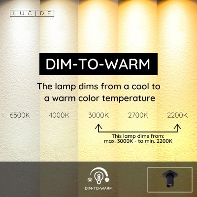 09929/05/30 - obrázek